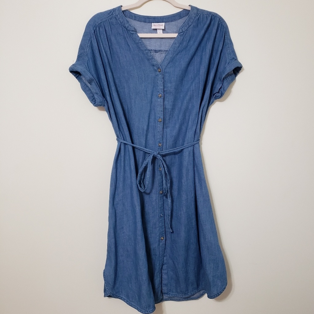 Isabel Maternity Dress